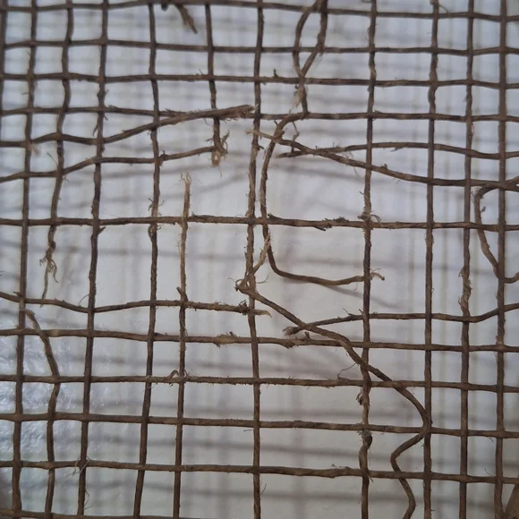 Ultra Rare! Antique Wright & Ditson "Longwood" Wood Tennis Racquet | Boston, MA - Picture 6 of 16